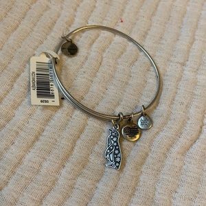 Alex & Ani penguin bracelet